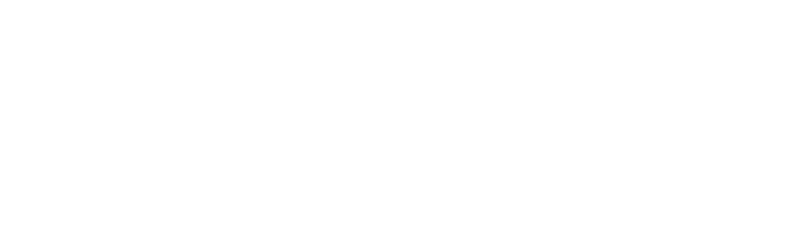 Minnezona